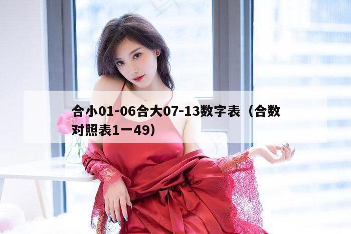 合小01-06合大07-13数字表（合数对照表1一49）